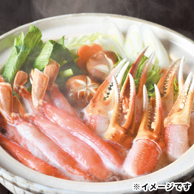 �y�Y�n�����z�����킢���Ƀ|�[�V�����E���ɒ܃|�[�V�����Z�b�g