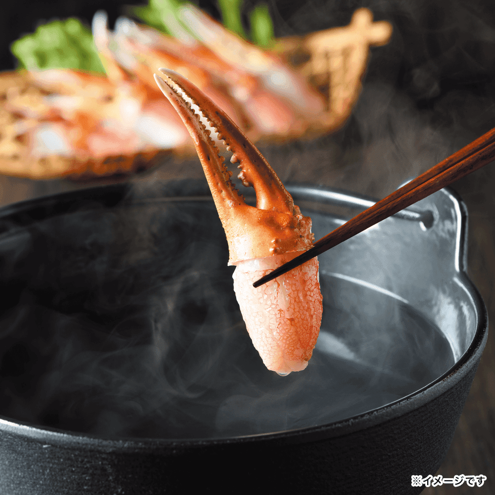 �y�Y�n�����z���킢���ɒ܃|�[�V����